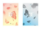 BTS 4TH MINI ALBUM THE MOST BEAUTIFUL MOMENT IN LIFE PT.2